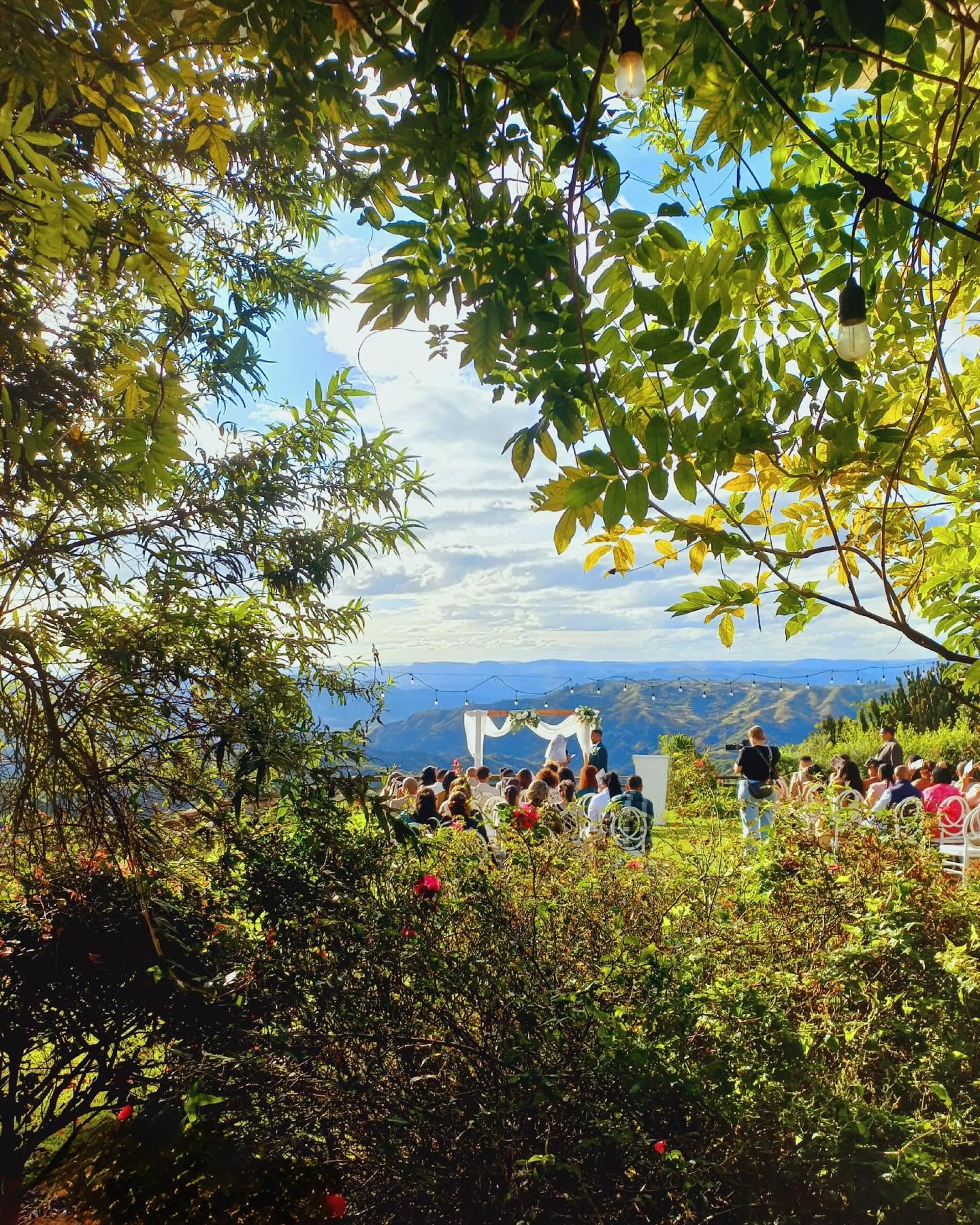 Ceremony framed by trees with the valley beyond