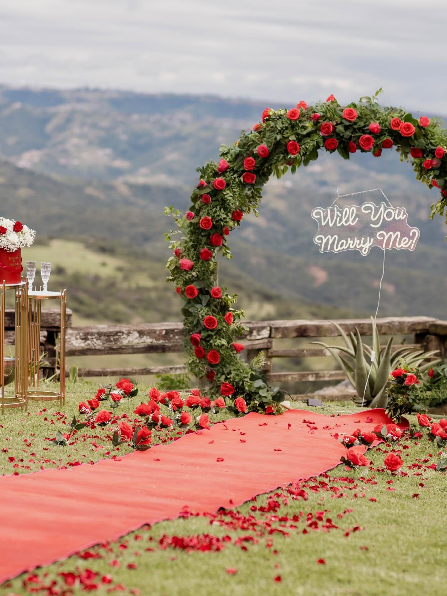 Rose arch and petal aisle set for a proposal above the valley